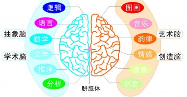 库博怎么分左右，库博怎么分左右眼